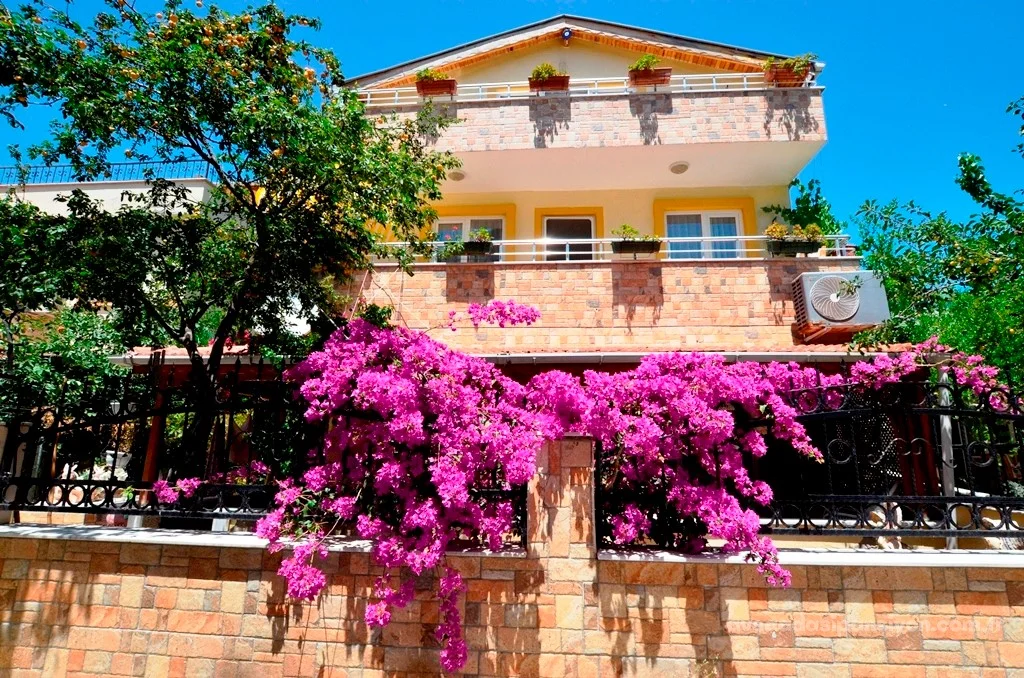 Doğukan Pansiyon - Pansiyon Fotoğrafı