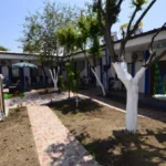 Efe Pansiyon Fotoğraf 5